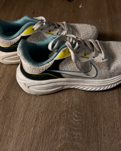Chaussure Nike