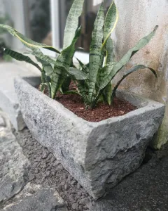 Flower Box ( pot fleur) en Roche