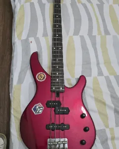 Bass guitar