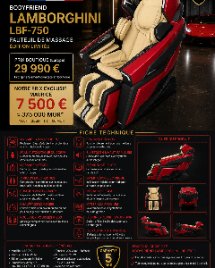 Fauteuil massage 